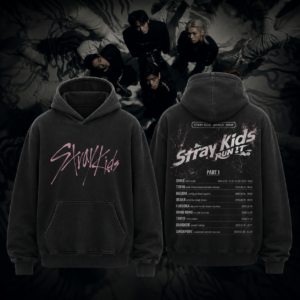 Stray Kids Run It World Tour Part 1 Vintage Concert Tour Hoodie Kpop Fan Merch Graphic Hoodie