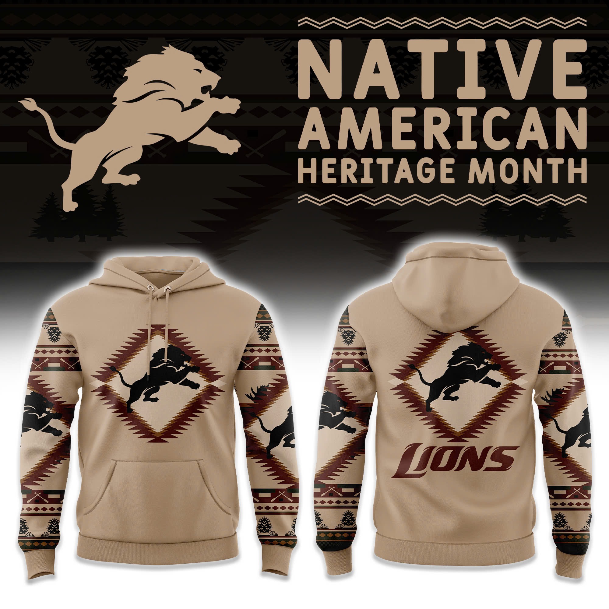 Detroit Lions Native American Heritage Hoodie Gift For Fans